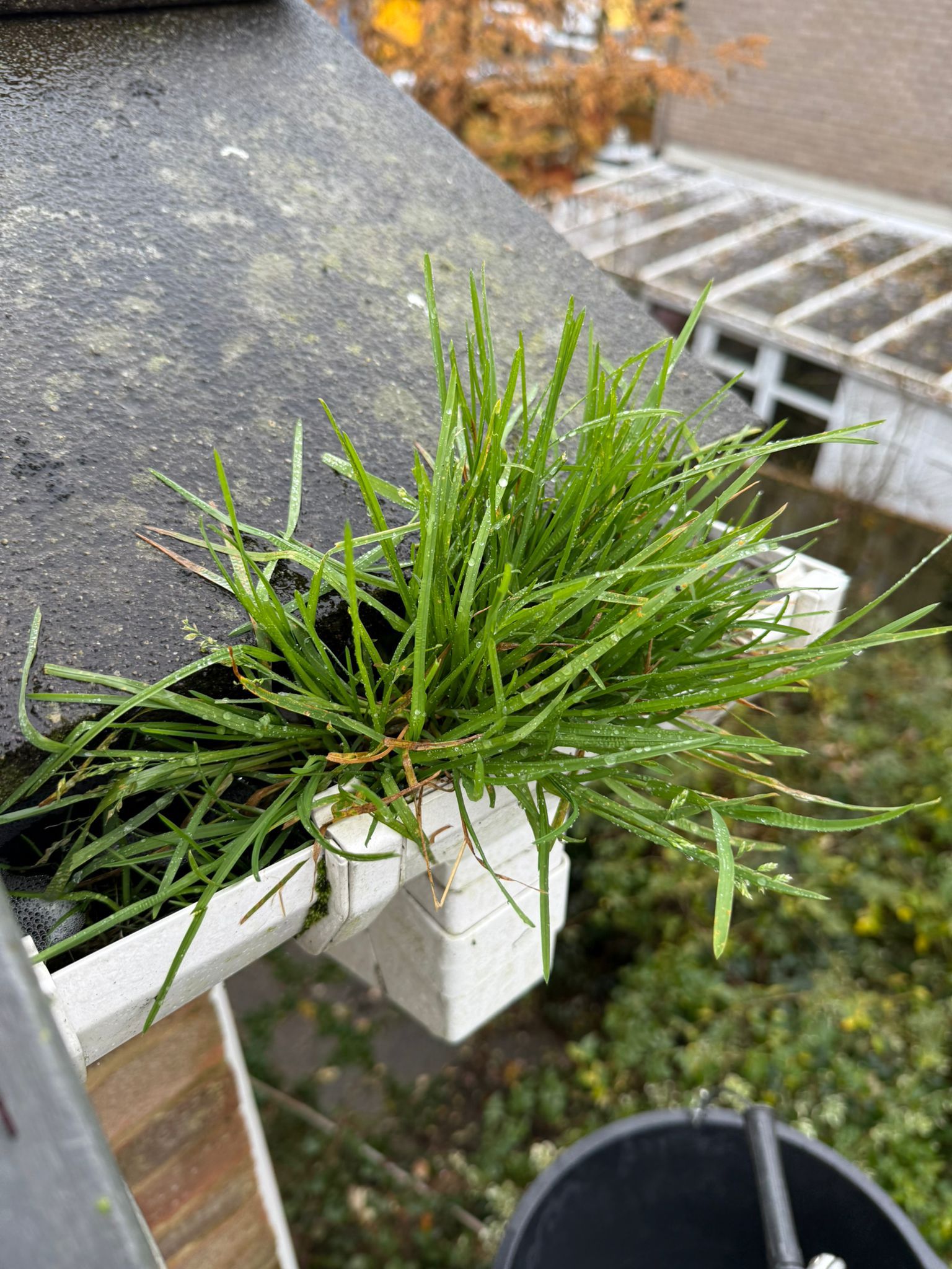 Blocked gutter downpipe in Croxley Green